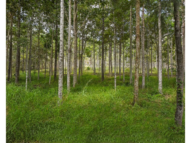 17 Upper Camp Mountain, Camp Mountain QLD 4520