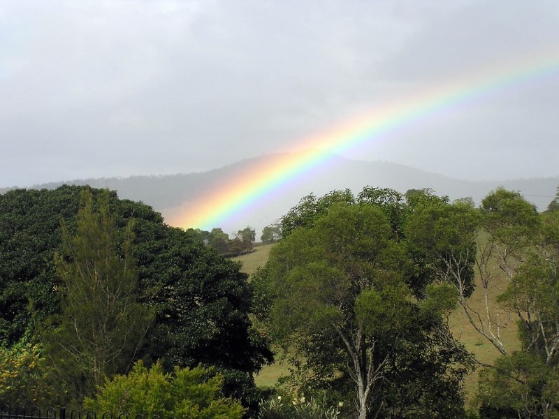 Cedar Creek QLD 4520