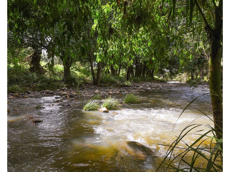 Cedar Creek QLD 4520