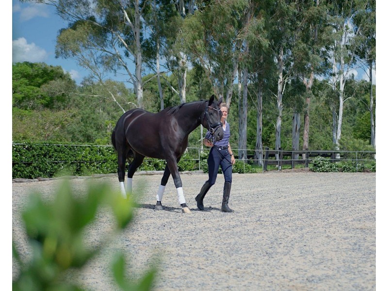 17 Balmoral Road, Draper QLD 4520