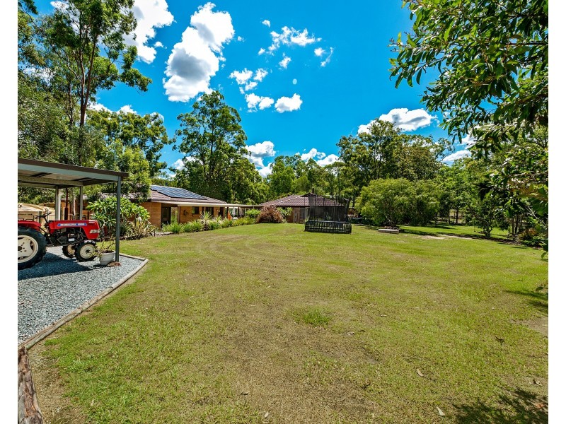 3 Delonix Place, Wights Mountain QLD 4520