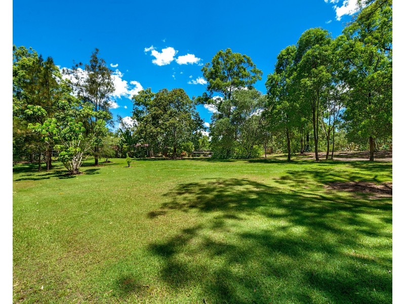 3 Delonix Place, Wights Mountain QLD 4520