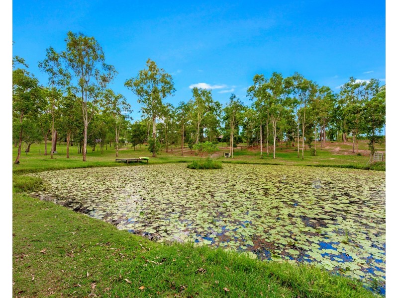 3 Delonix Place, Wights Mountain QLD 4520