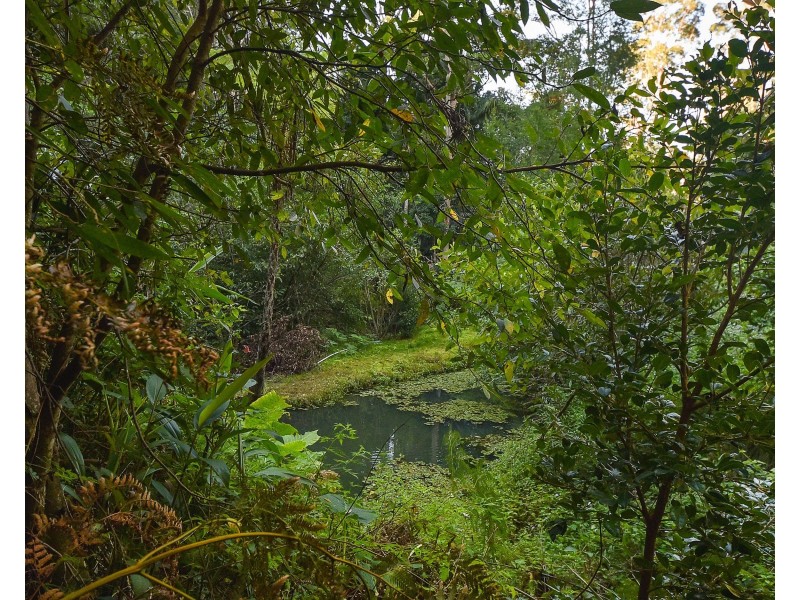 10 View Street, Mount Nebo QLD 4520