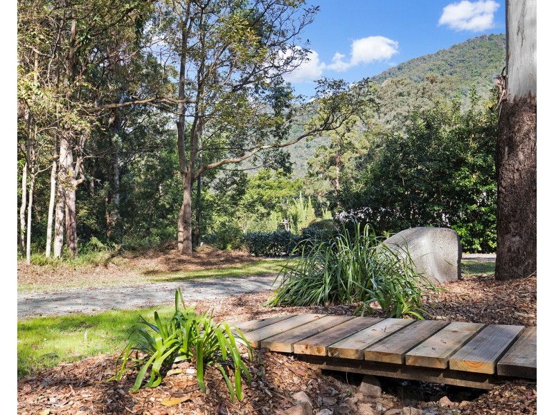 6 Bellbird Court, Cedar Creek QLD 4520