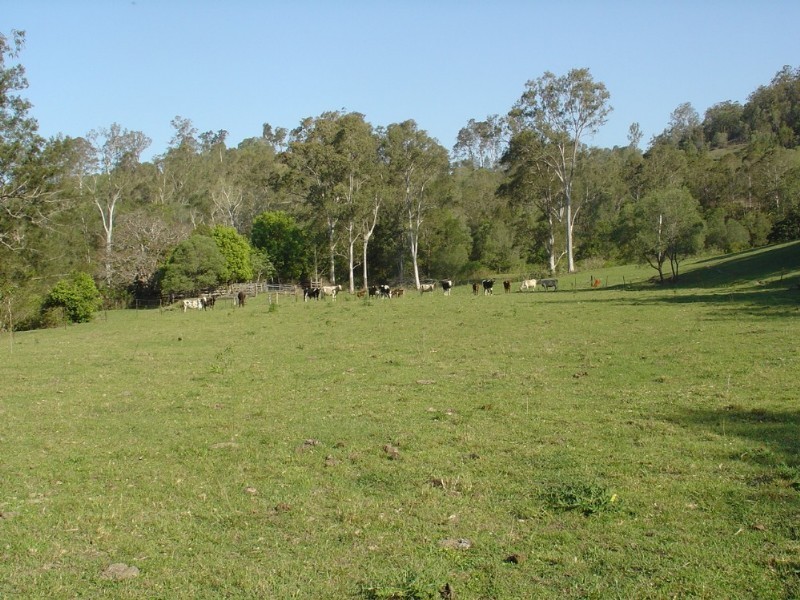 Kobble Creek QLD 4520