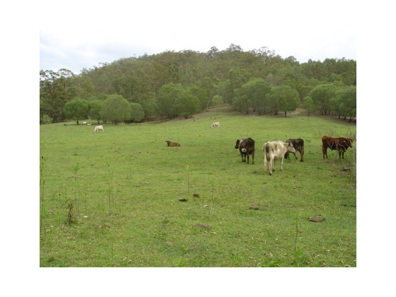 Kobble Creek QLD 4520