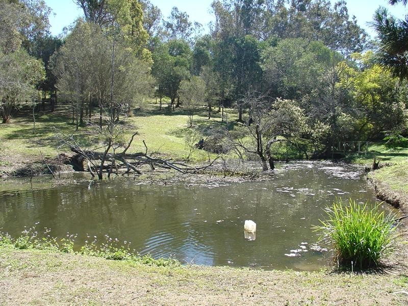 4 Riverine Court, Samford QLD 4520