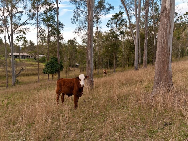 63 Kareela Drive, Samford QLD 4520