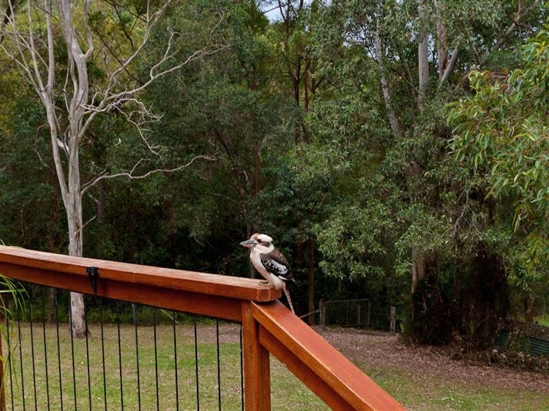 32 Maragani Court, Samford QLD 4520