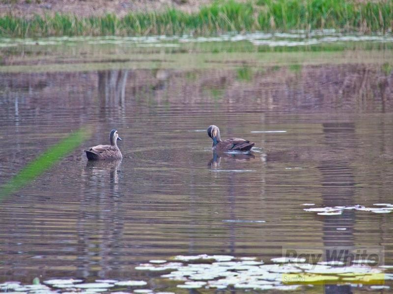 486 Cedar Creek Road, Samford QLD 4520