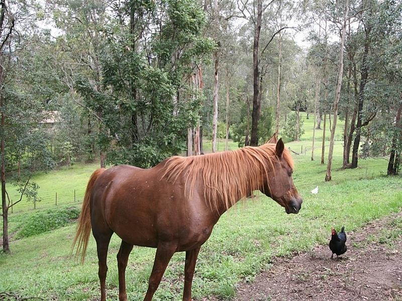 22 Endwood Court, Samford QLD 4520