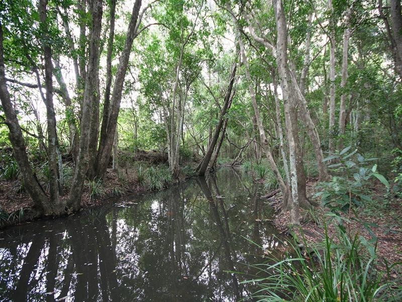 32 Castlewood Court, Samford QLD 4520