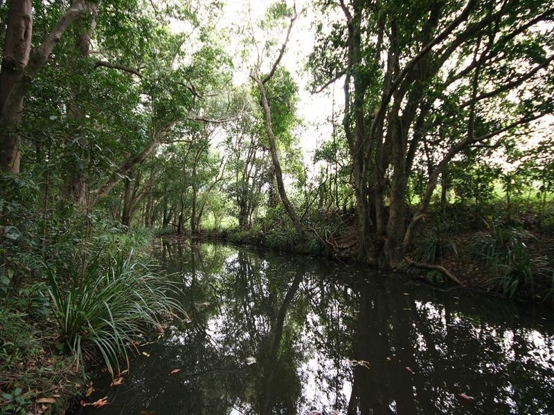 32 Castlewood Court, Samford QLD 4520