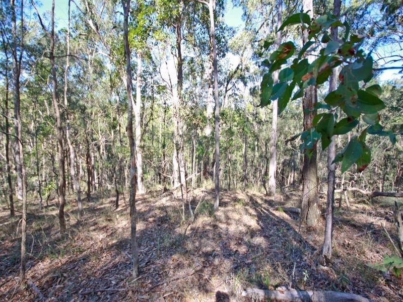 Kobble Creek QLD 4520