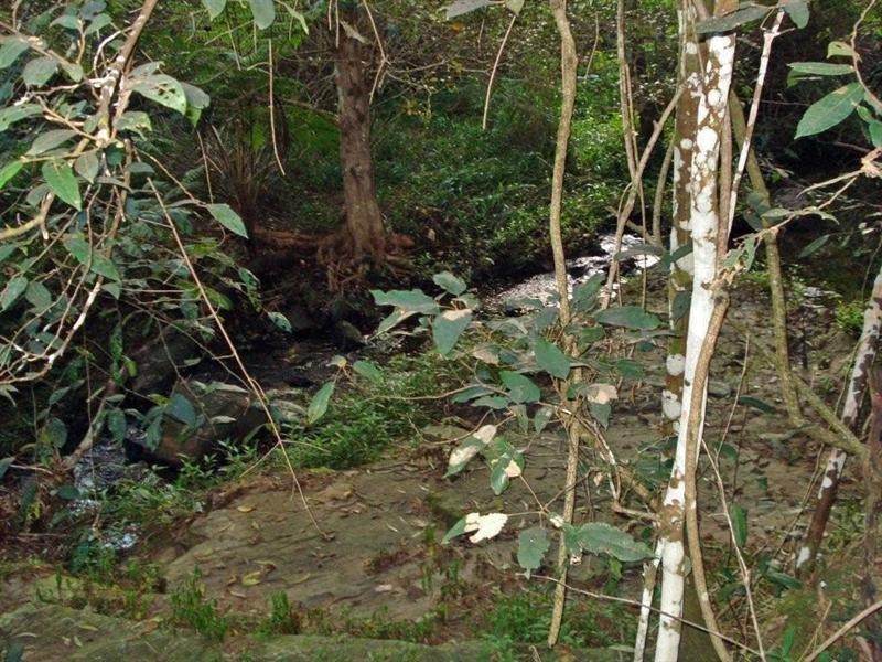 Clear Mountain QLD 4500