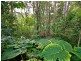 Lot 3, 602 Cedar Creek Road, Cedar Creek QLD 4520