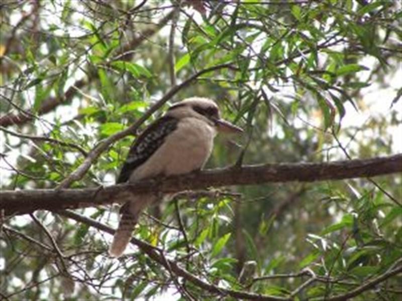 Lot 3, Lot 922 Mt Samson Road, Samsonvale QLD 4520