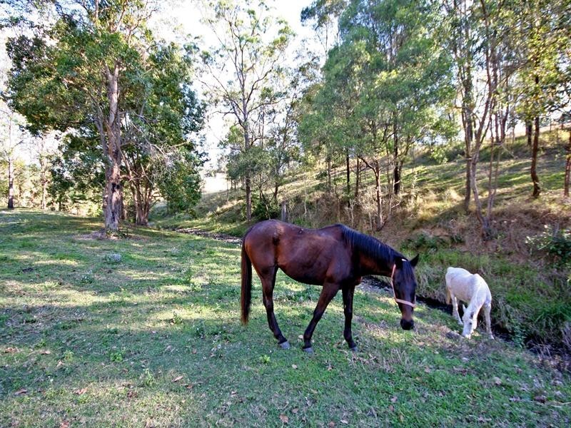 Cedar Creek QLD 4520