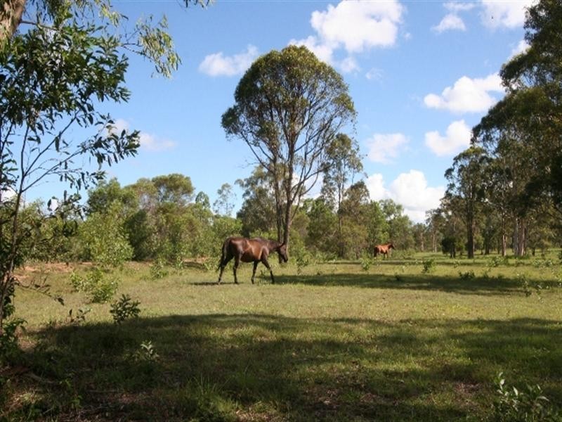 573 Bellmere Road, Bellmere QLD 4510