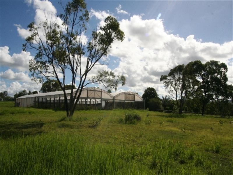 573 Bellmere Road, Bellmere QLD 4510