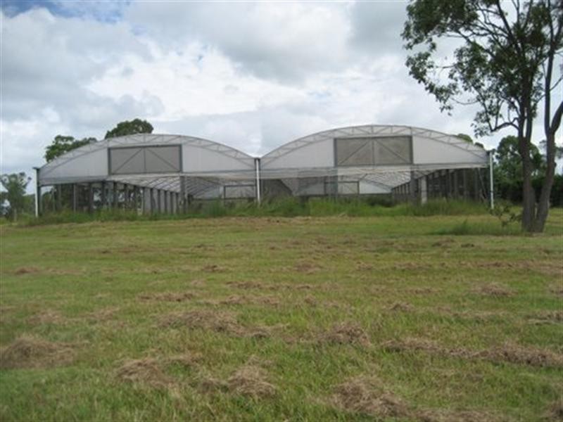 573 Bellmere Road, Bellmere QLD 4510