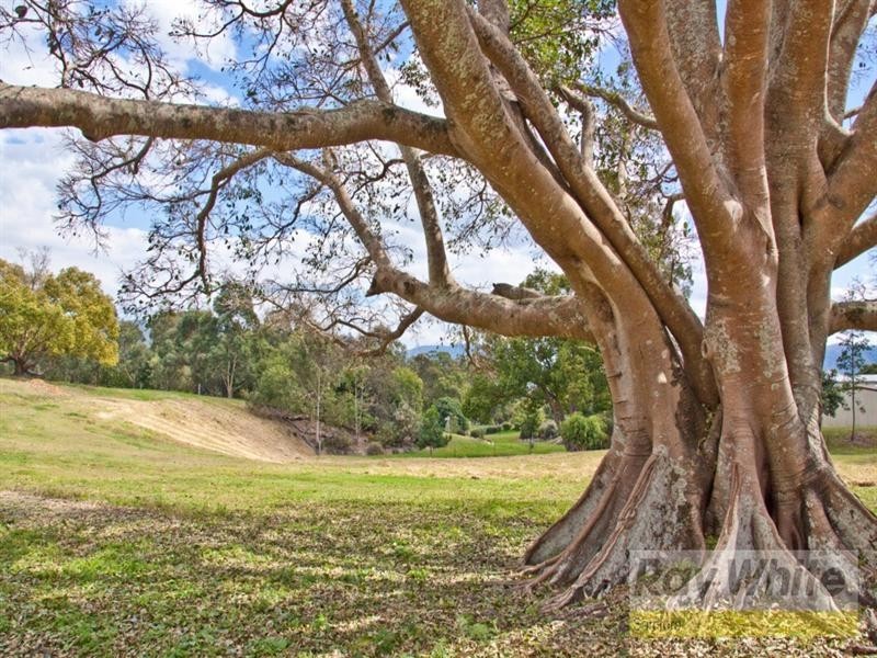 Lot 3, Lot 256 Upper Camp Mountain Road, Samford QLD 4520
