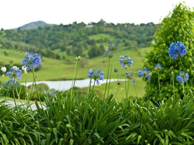 200 Andrew Road, Samford QLD 4520