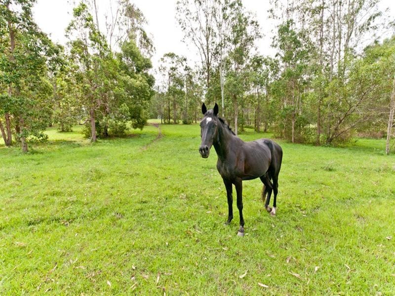 3 Arnan Court, Samford Valley QLD 4520