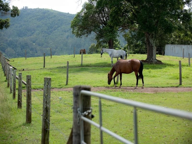 430 Mt Pleasant Road, Dayboro QLD 4521