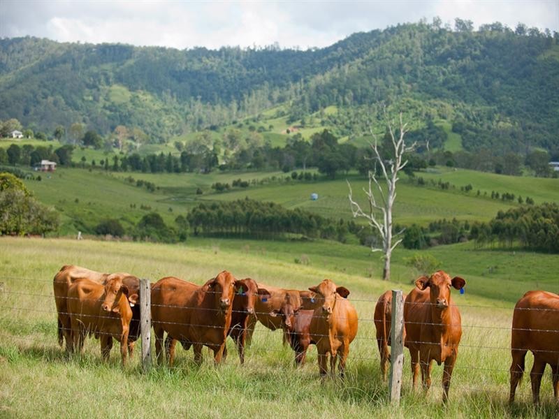 430 Mt Pleasant Road, Dayboro QLD 4521