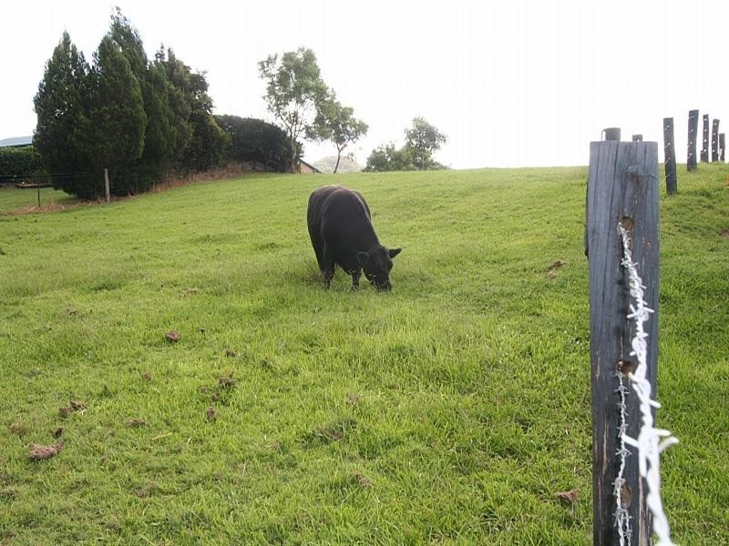 204 Herron Road, Cedar Creek QLD 4520