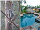 Clear Mountain QLD 4500
