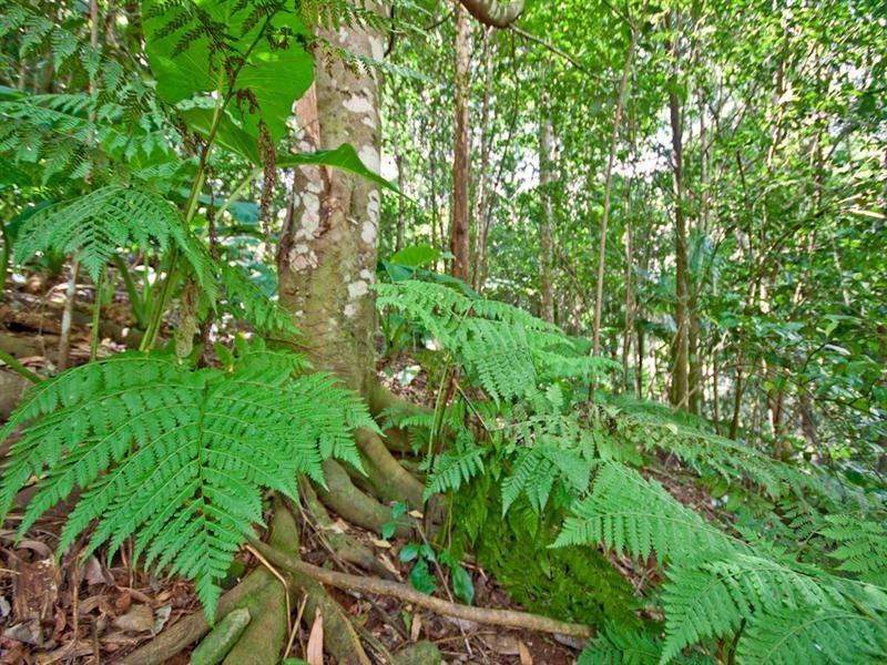 Mount Glorious QLD 4520