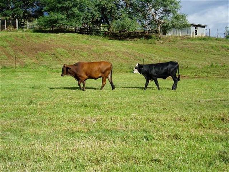 125 Bond Road, Dayboro QLD 4521