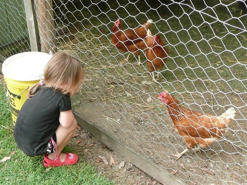 14 Housewood Court, Highvale QLD 4520