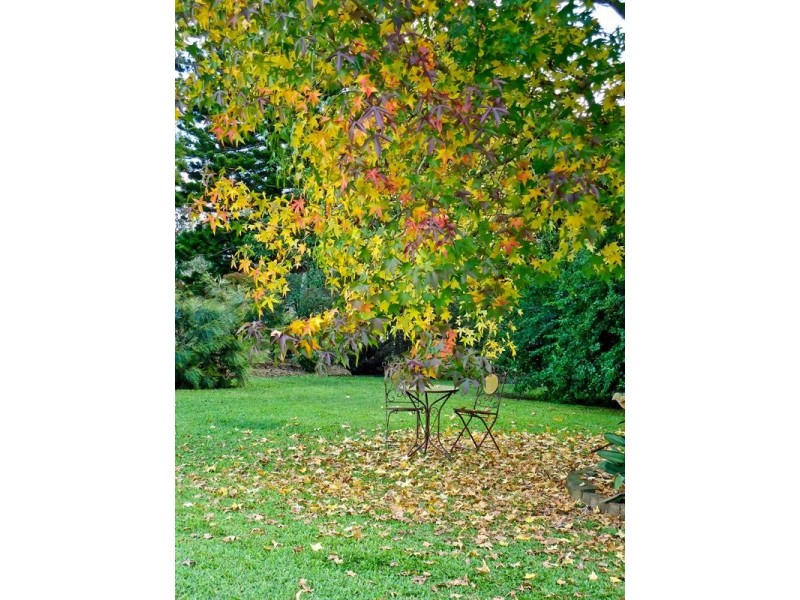 Samford Valley QLD 4520