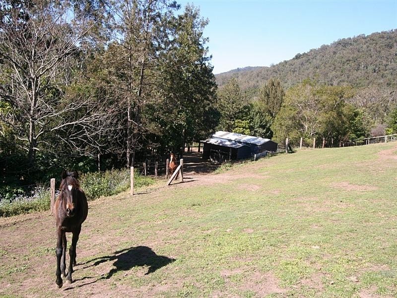 20 Masseys Creek Court, Cedar Creek QLD 4520