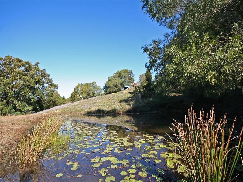 Kobble Creek QLD 4520