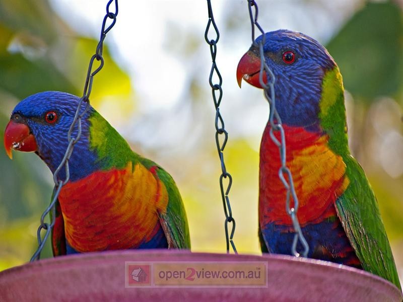 Bunya QLD 4055