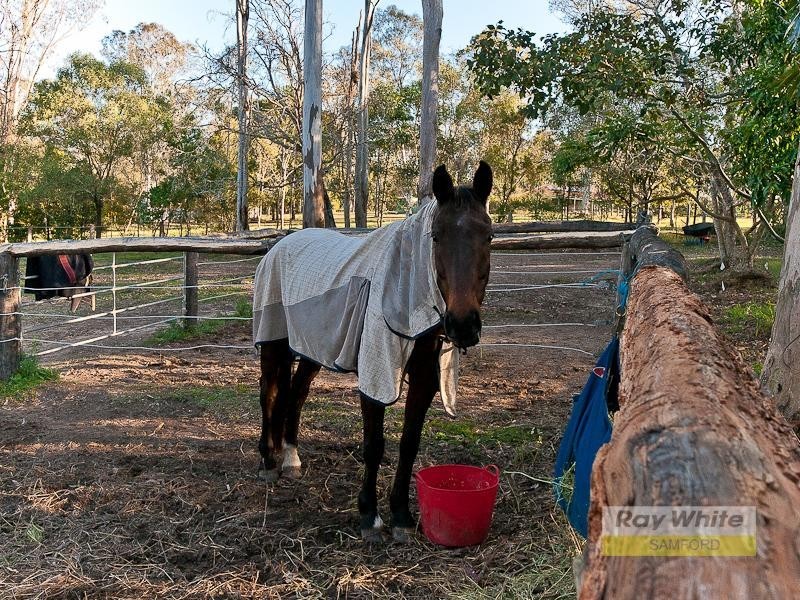 Camp Mountain QLD 4520