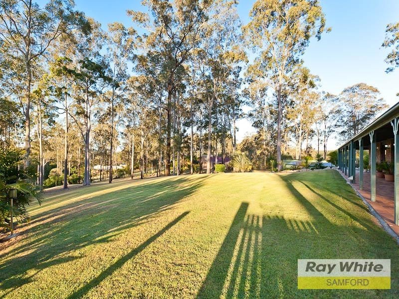 8 Frigo Court, Bunya QLD 4055