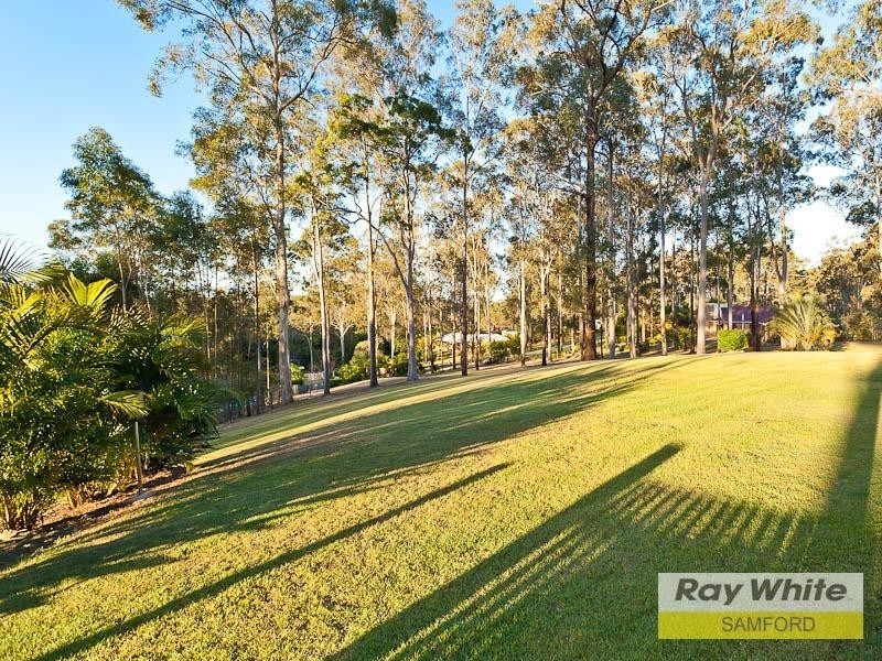 8 Frigo Court, Bunya QLD 4055