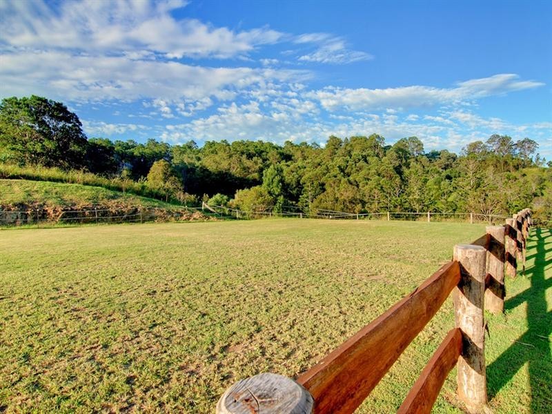 11 Lacebark Court, Cedar Creek QLD 4520