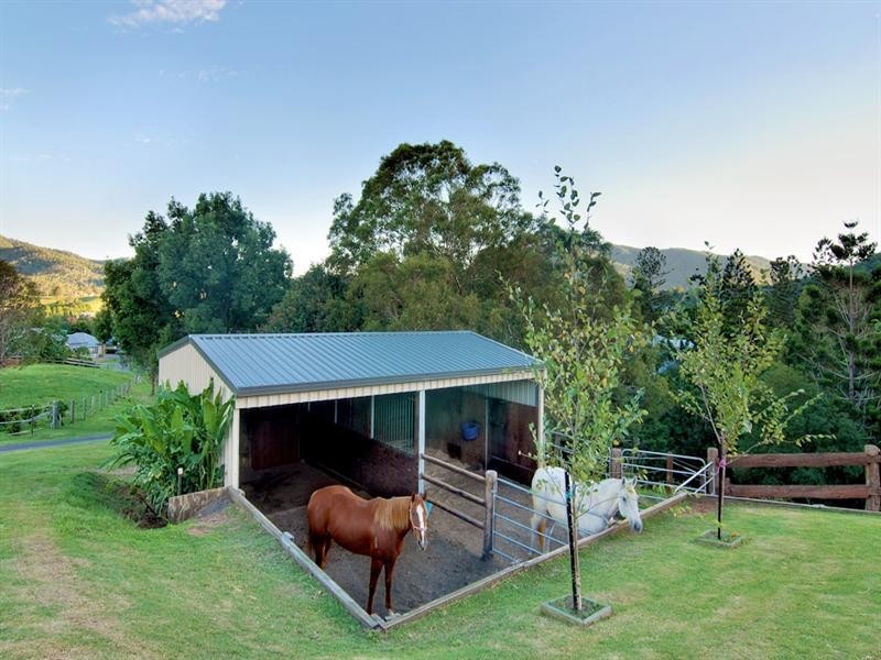 11 Lacebark Court, Cedar Creek QLD 4520