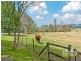 Samsonvale QLD 4520