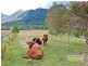 Samsonvale QLD 4520