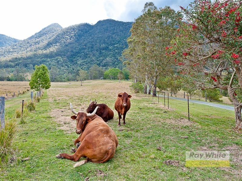 Samsonvale QLD 4520