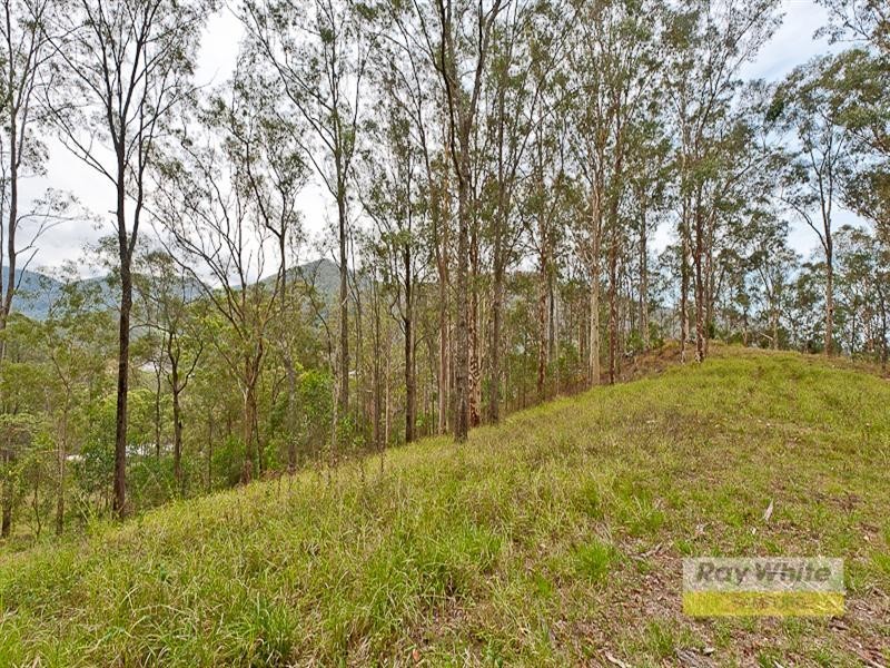 Cedar Creek QLD 4520