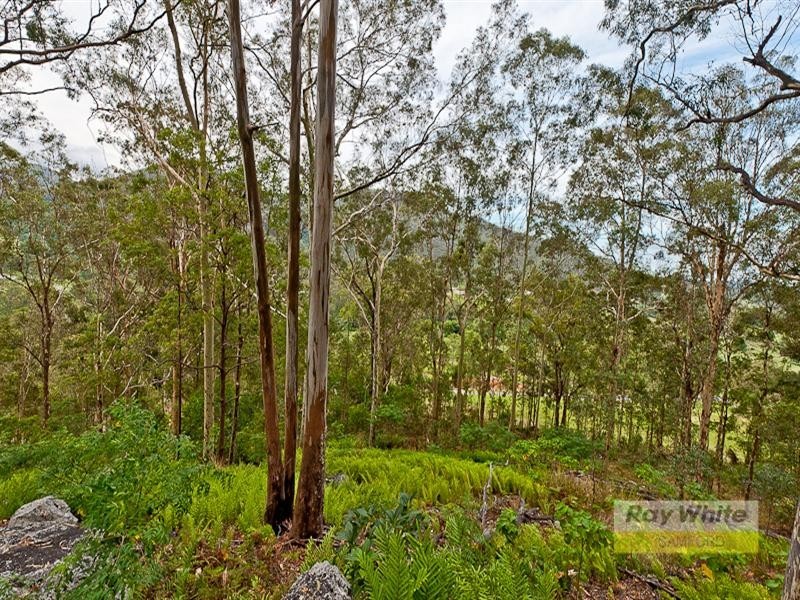 Cedar Creek QLD 4520